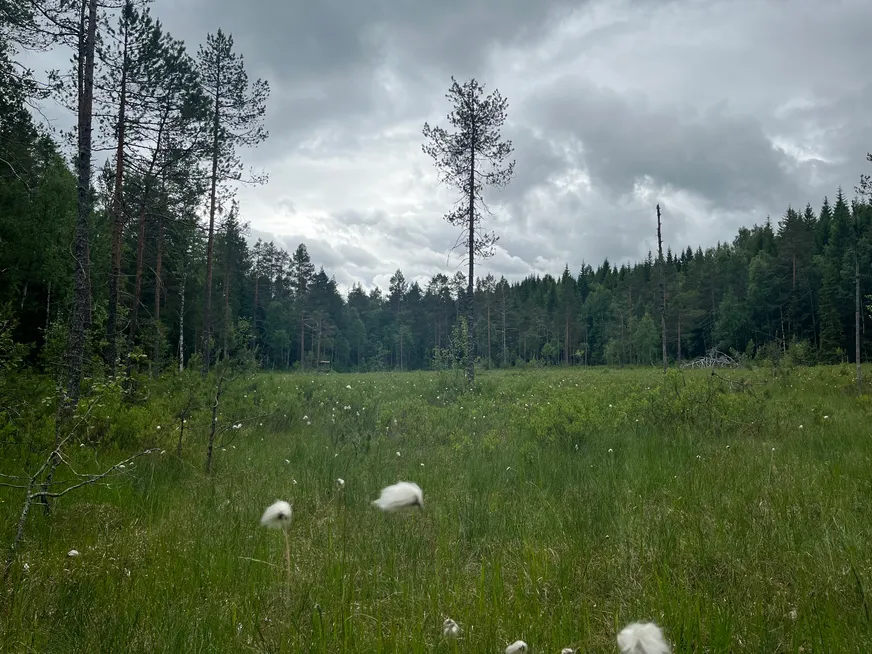 NORDANSTIG VÄSTERGRÄNGSJÖ 3:6 photo 4