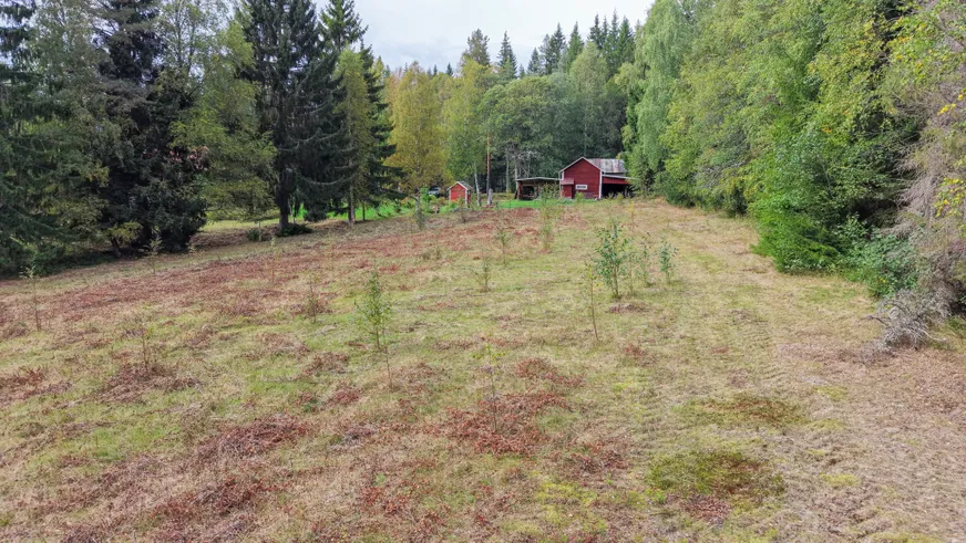 Fullskärm