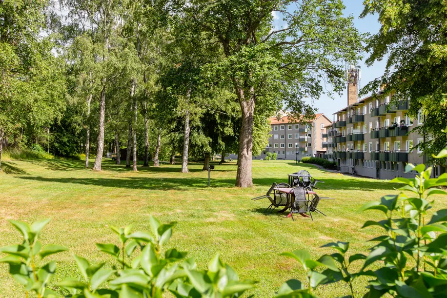 Fullskärm