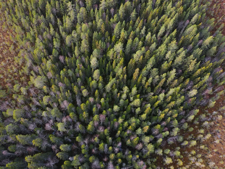 Fullskärm