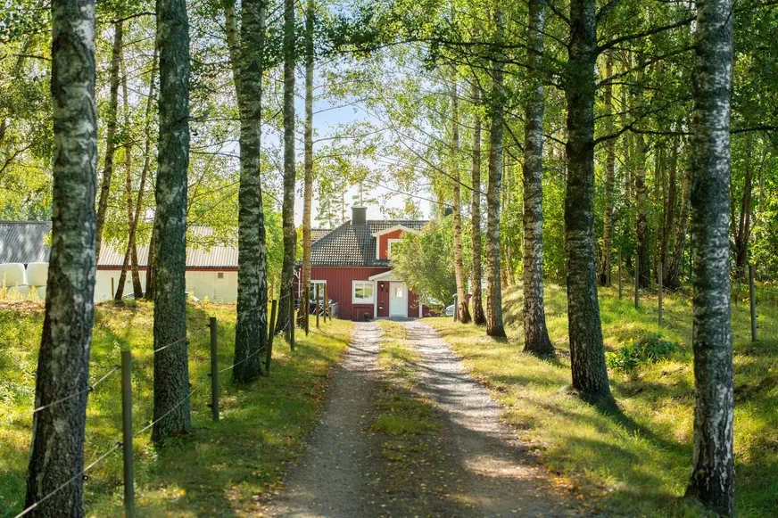 Fullskärm