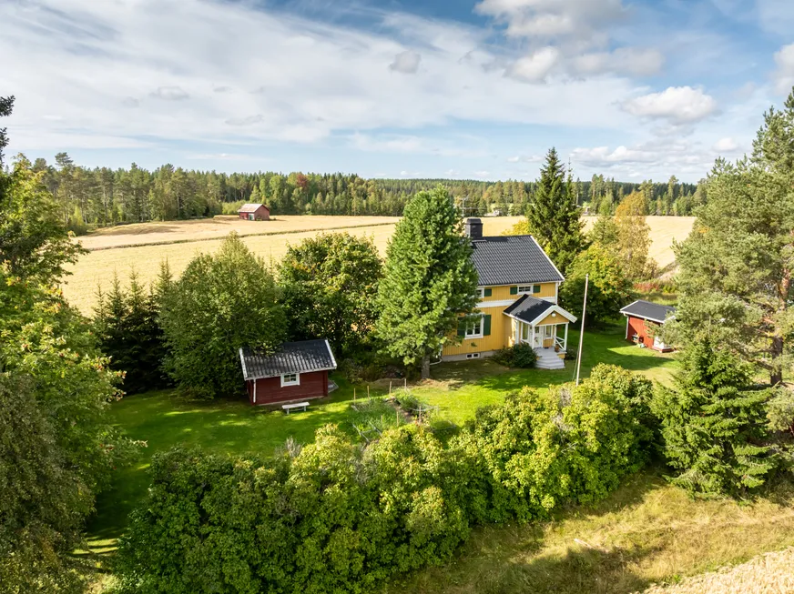 Bäck 161 photo 4