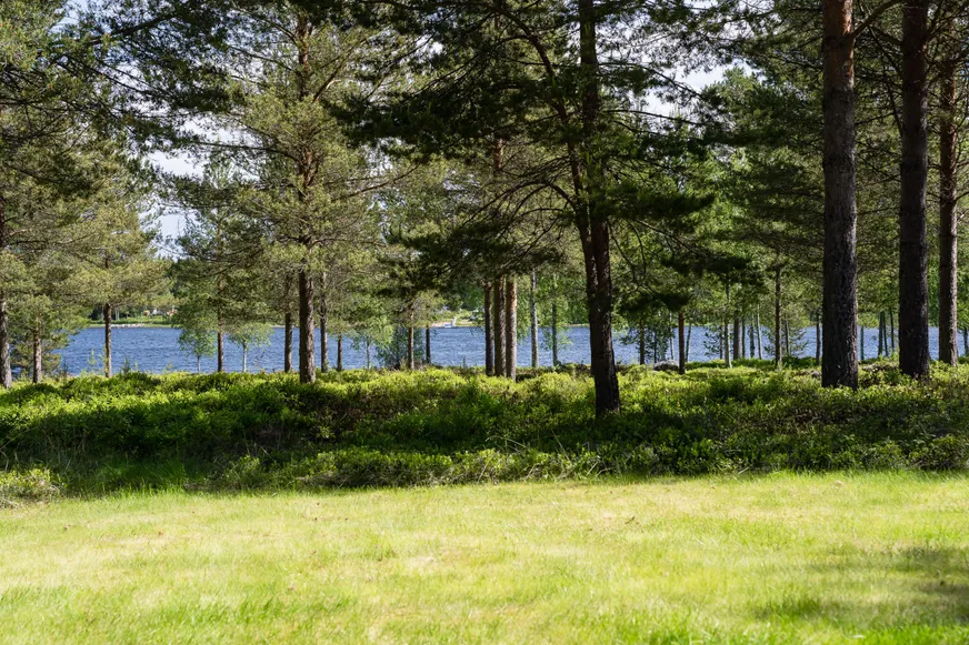 Fullskärm