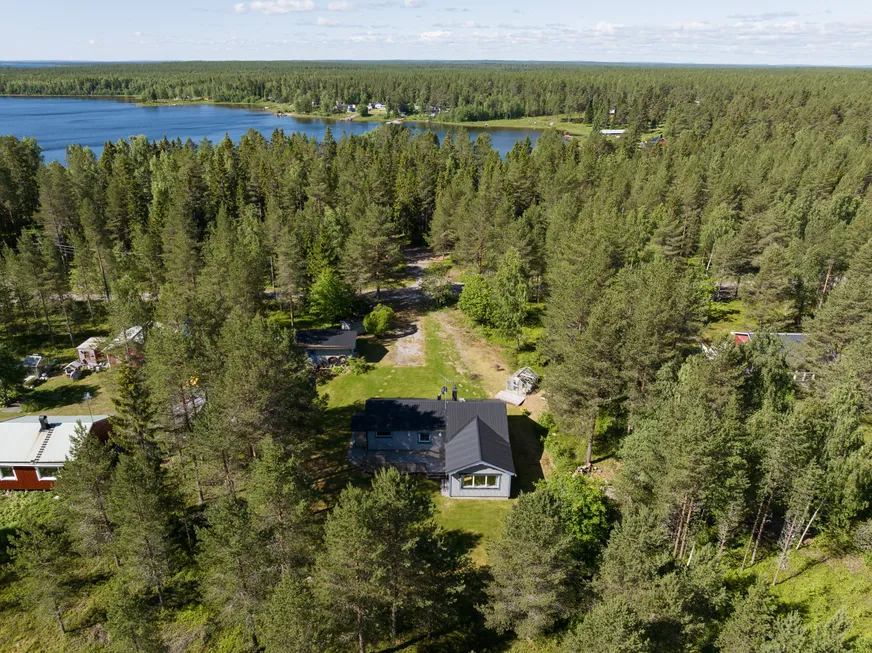 Buskön 153 photo 2