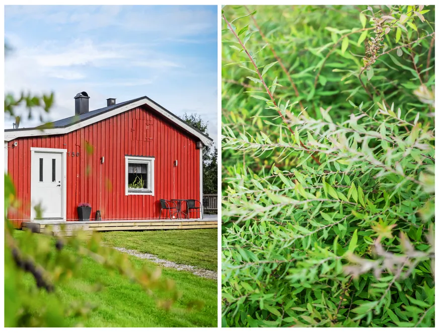 Väster-Gåltjärn 150 photo 4