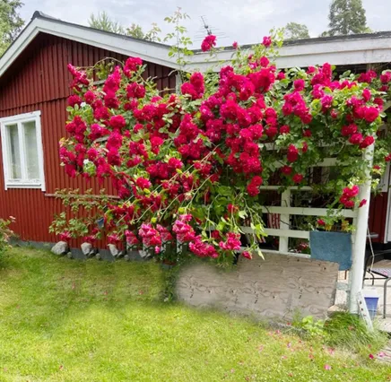 Fullskärm