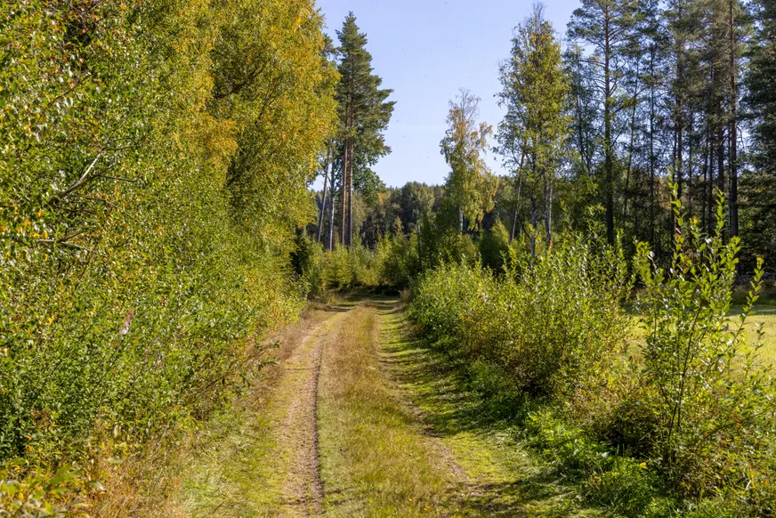 Vattnäs photo 5