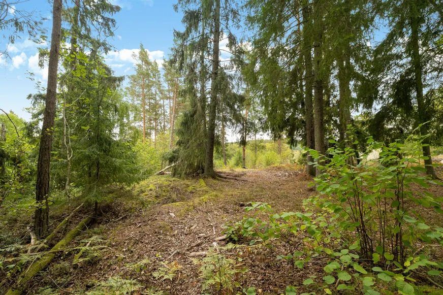 Dyviksvägen 153 photo 5