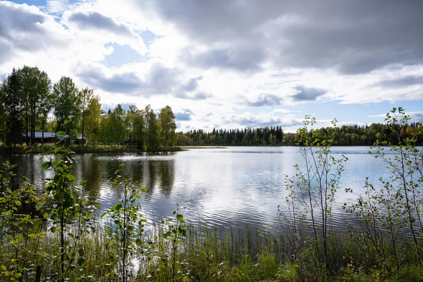 Långmyrliden, Norsjö photo 4