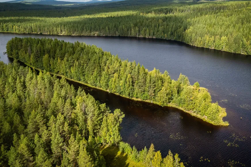 Fullskärm
