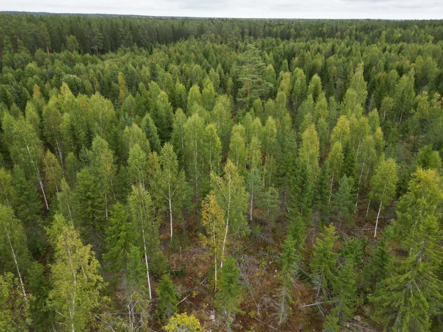 Sändavägen 12