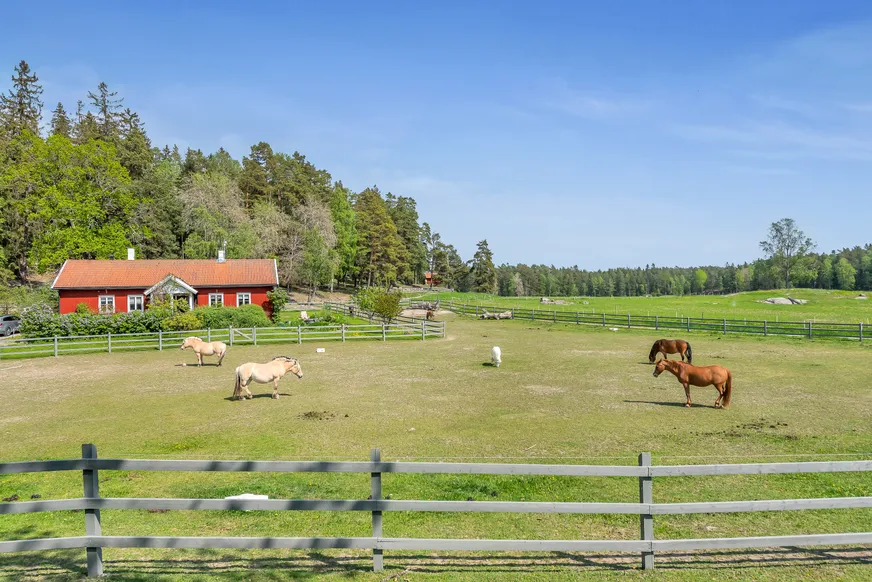 Fullskärm