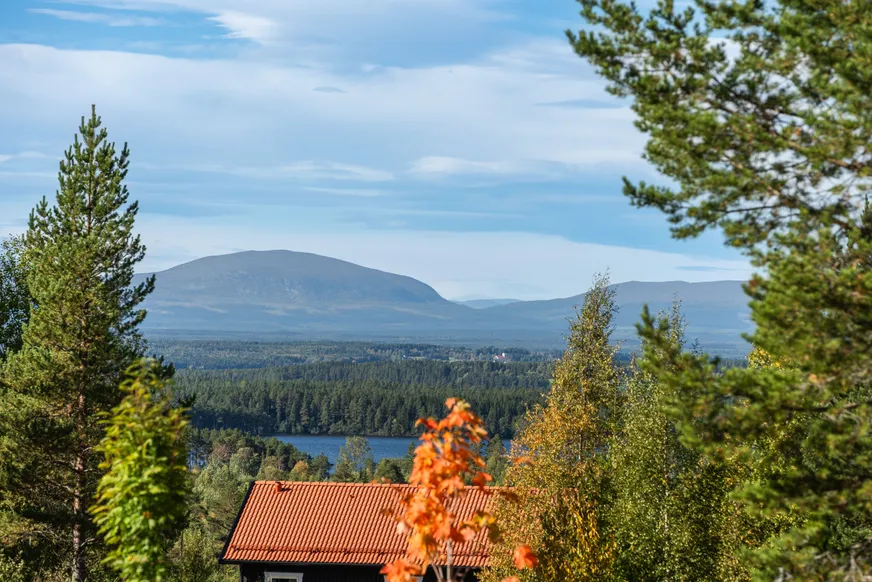 Fullskärm