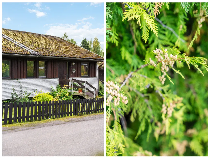 Fullskärm