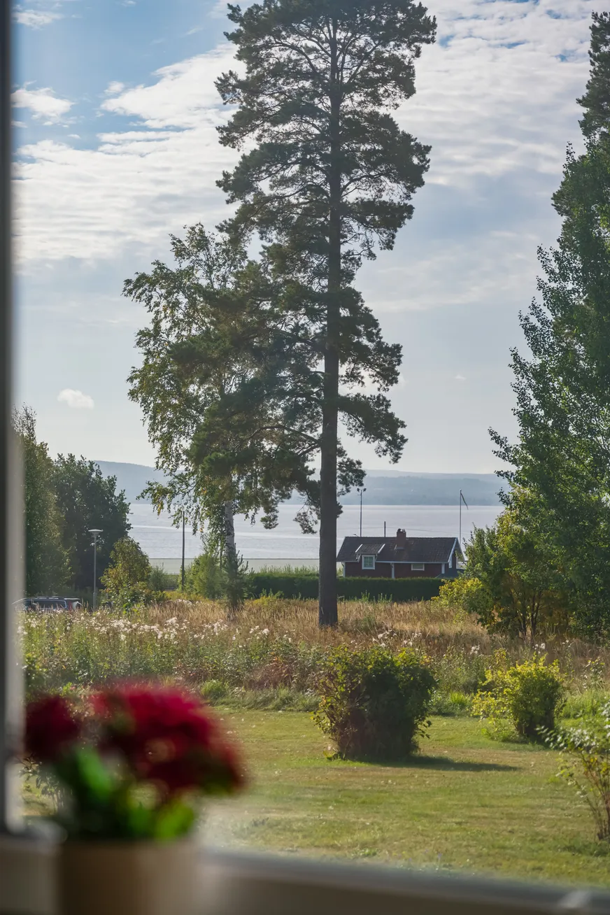 Fullskärm