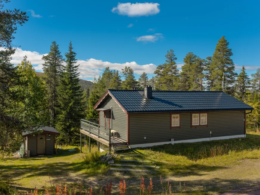 Fullskärm