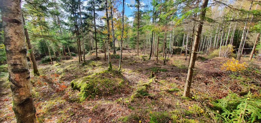 Fullskärm