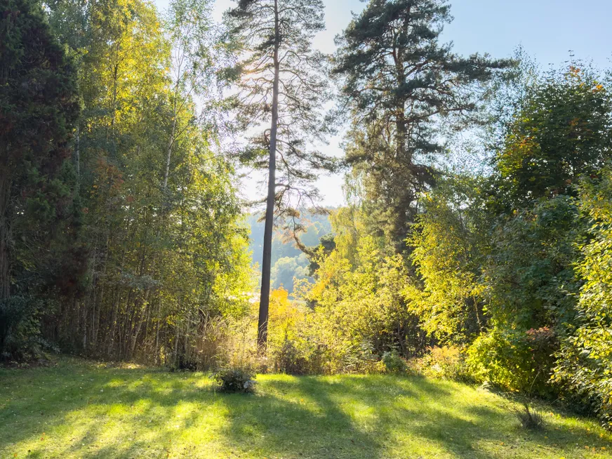 Fullskärm