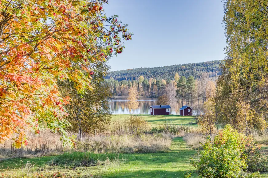 Fullskärm