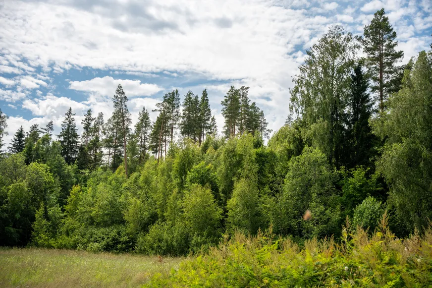 Fullskärm