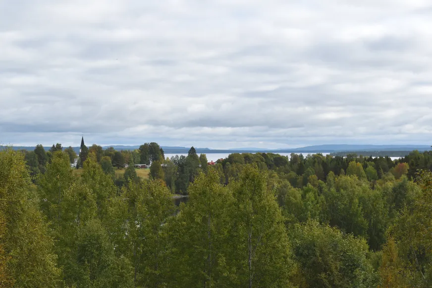 Fullskärm