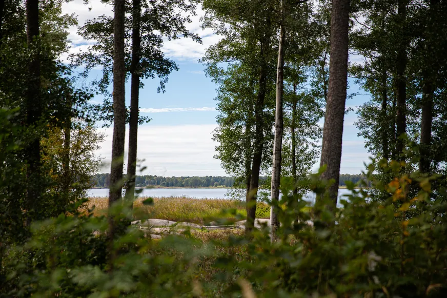 Fullskärm