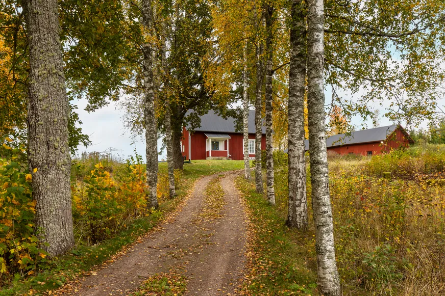 Fullskärm