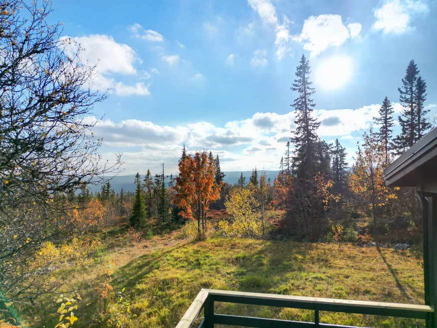Fullskärm