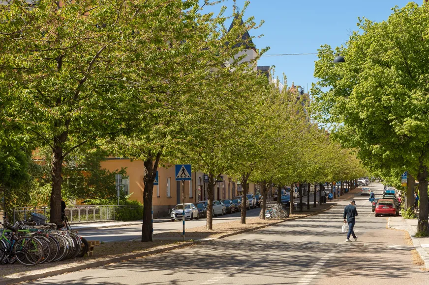 Fullskärm