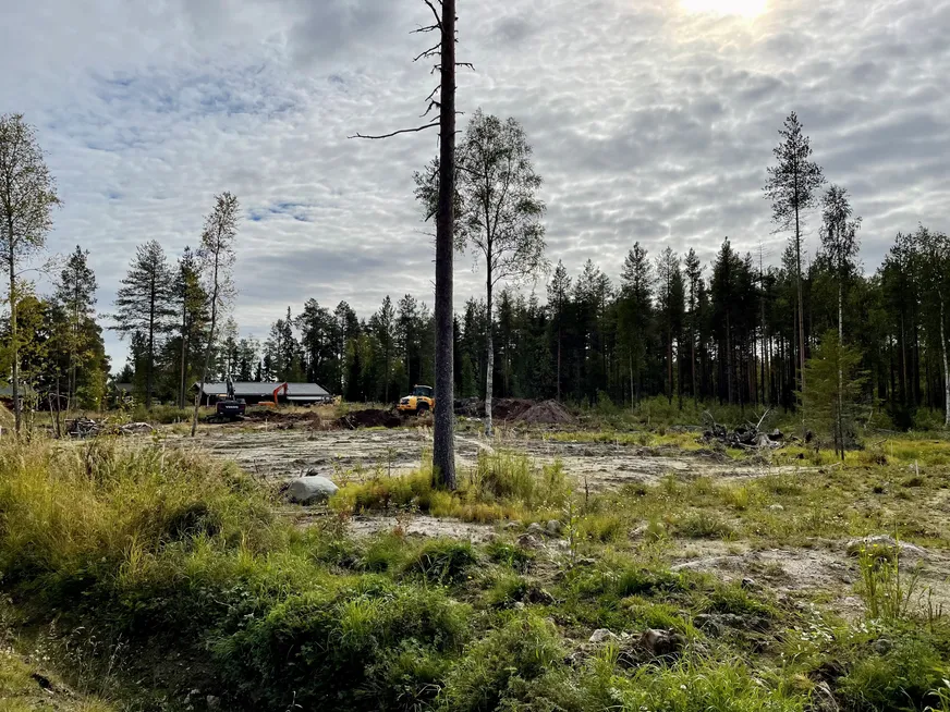 Fullskärm