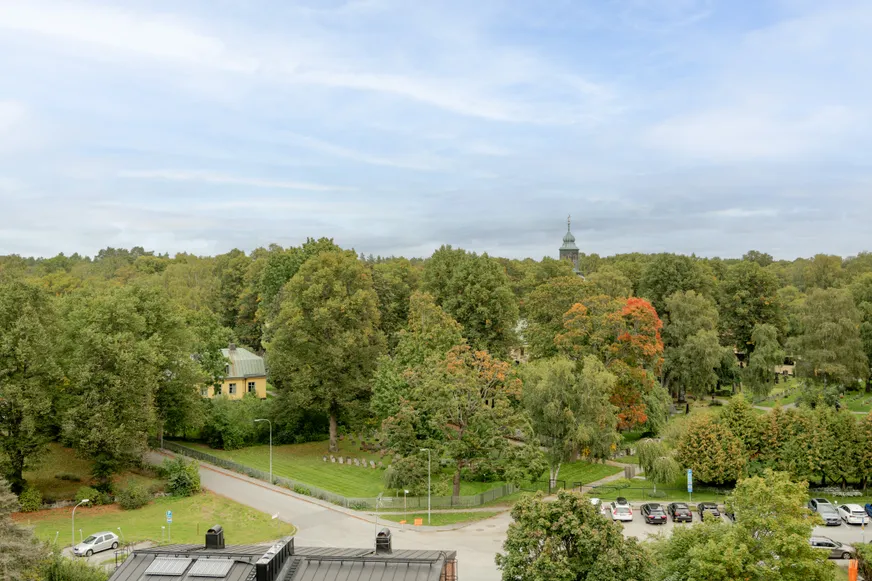 Fullskärm