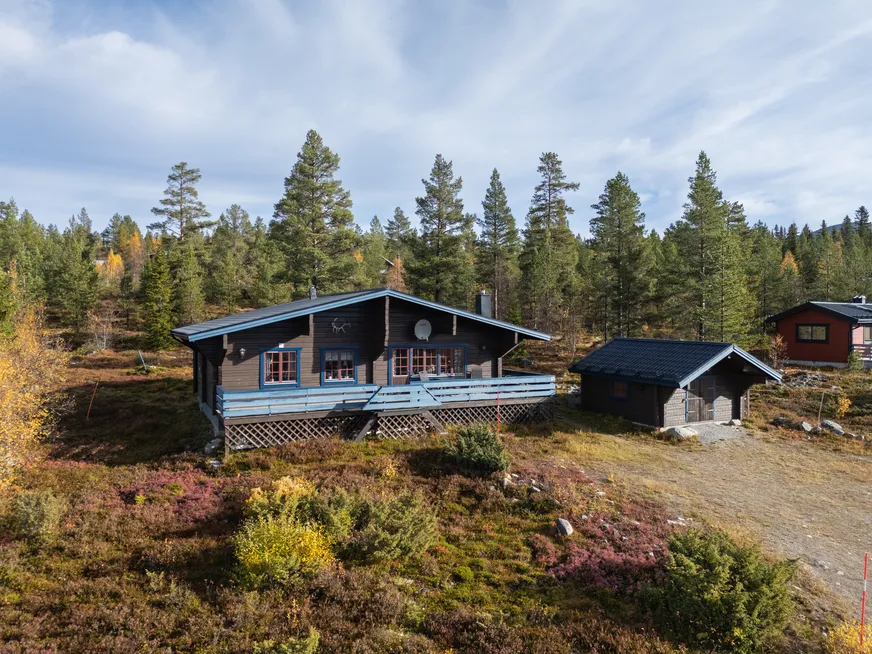 Fullskärm