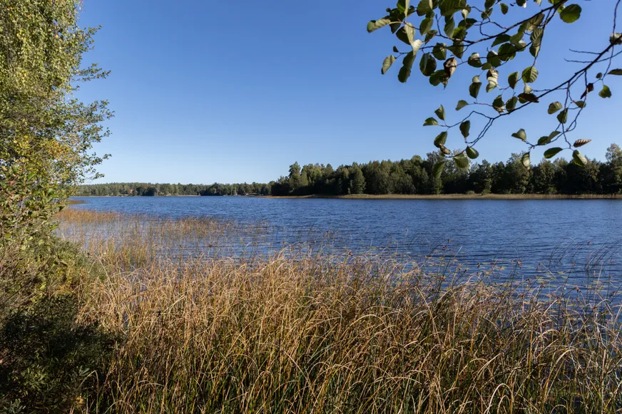 Fullskärm