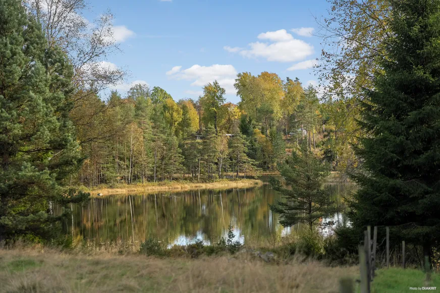 Fullskärm