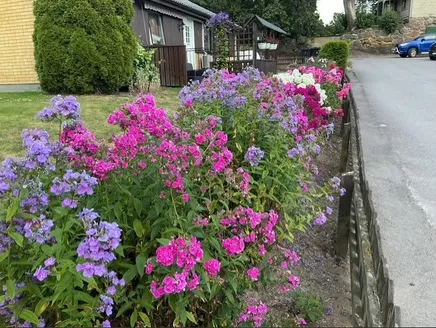 Fullskärm