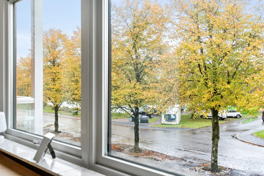 Fullskärm