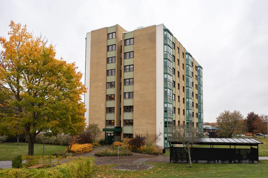 Fullskärm