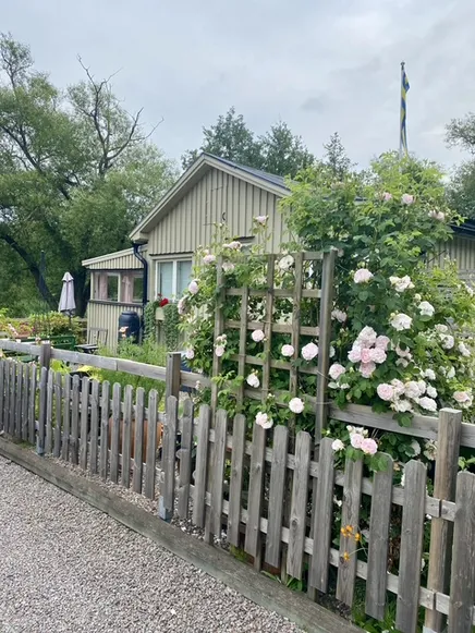 Fullskärm