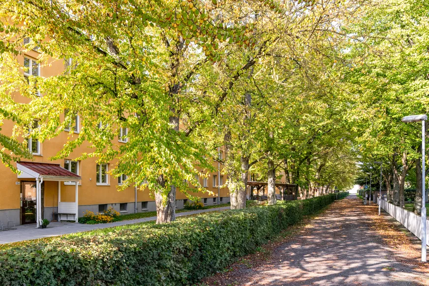 Fullskärm